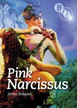Розовый нарцисс / Pink Narcissus 1971 скачать через торрент в хорошем качестве