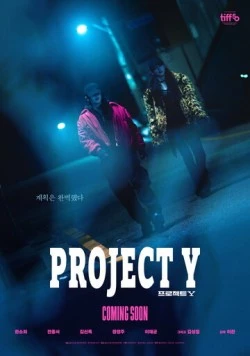 Проект Y / Project Y 2025 скачать через торрент в хорошем качестве