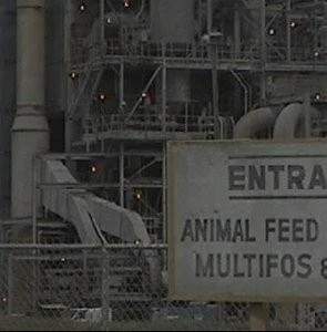 Чемоданы Тульса Лупера, часть 2: Из Во к морю 2003 скачать через торрент бесплатно Чемоданы Тульса Лупера, часть 2: Из Во к морю 2003 скачать через торрент бесплатно