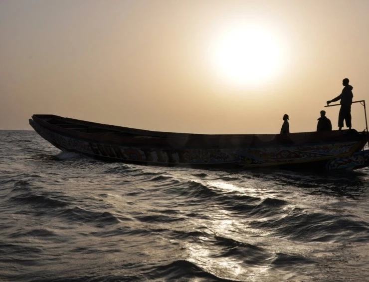 Пирога 2012 скачать торрентом Пирога 2012 скачать торрентом