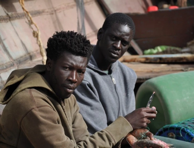 Пирога 2012 скачать через торрент бесплатно Пирога 2012 скачать через торрент бесплатно