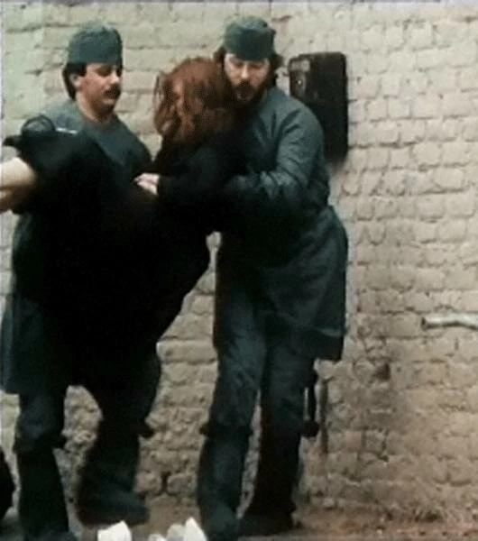 Австрийское поле 1991 скачать торрентом Австрийское поле 1991 скачать торрентом