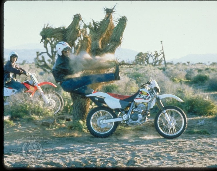 Невероятные приключения Супер Дэйва 2000 скачать с торрента Невероятные приключения Супер Дэйва 2000 скачать с торрента