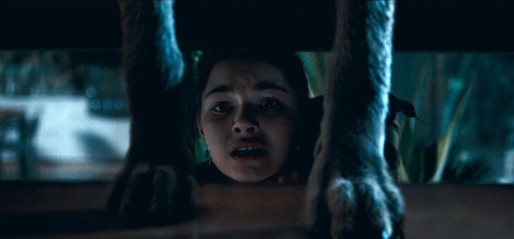 Ночь койота 2025 скачать с торрента Ночь койота 2025 скачать с торрента