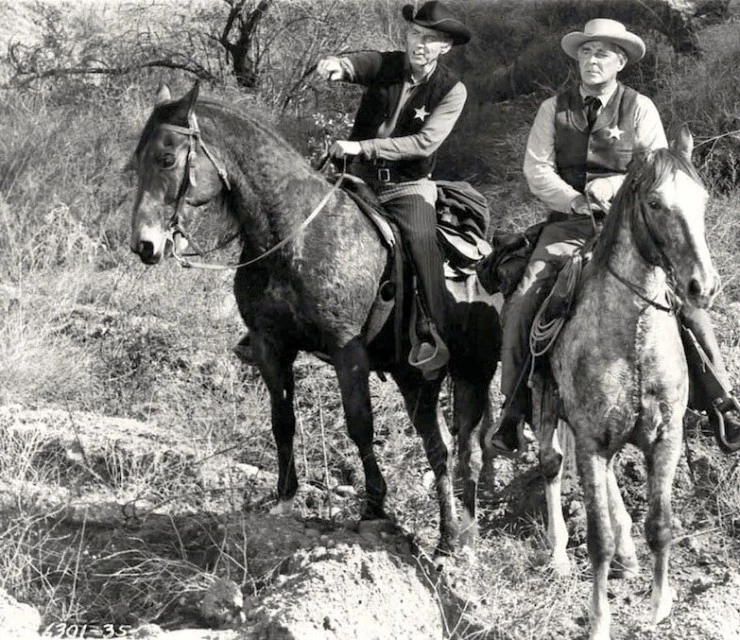 Меткий Ястреб 1963 скачать с торрента Меткий Ястреб 1963 скачать с торрента