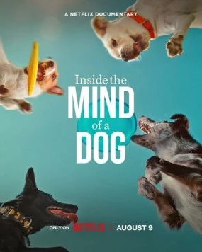 О чем думают собаки / Inside the Mind of a Dog 2024 скачать через торрент в хорошем качестве