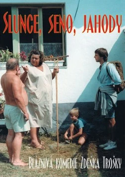 Экспериментатор / Slunce, seno, jahody 1984 скачать через торрент в хорошем качестве