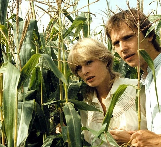 Экспериментатор 1984 скачать через торрент бесплатно Экспериментатор 1984 скачать через торрент бесплатно