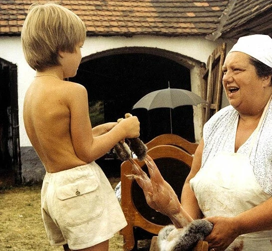 Экспериментатор 1984 скачать торрентом Экспериментатор 1984 скачать торрентом