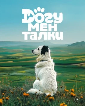 Догументалки 2025 скачать через торрент в хорошем качестве