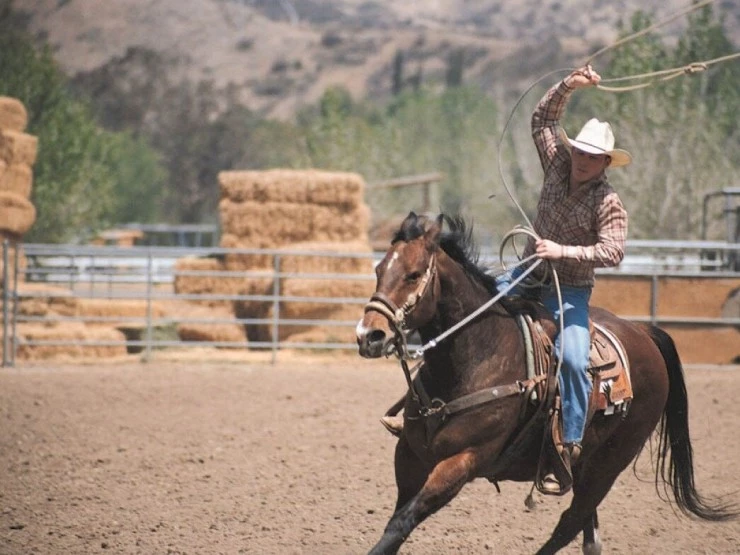 Даллас 362 2002 скачать через торрент бесплатно Даллас 362 2002 скачать через торрент бесплатно