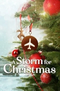Рождественская буря / A Storm for Christmas 2022 скачать через торрент в хорошем качестве