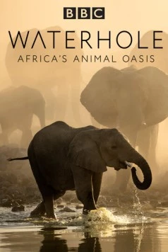BBC. Водопой: Африканский Оазис для Животных / Waterhole: Africa's Animal Oasis 2020 скачать через торрент в хорошем качестве