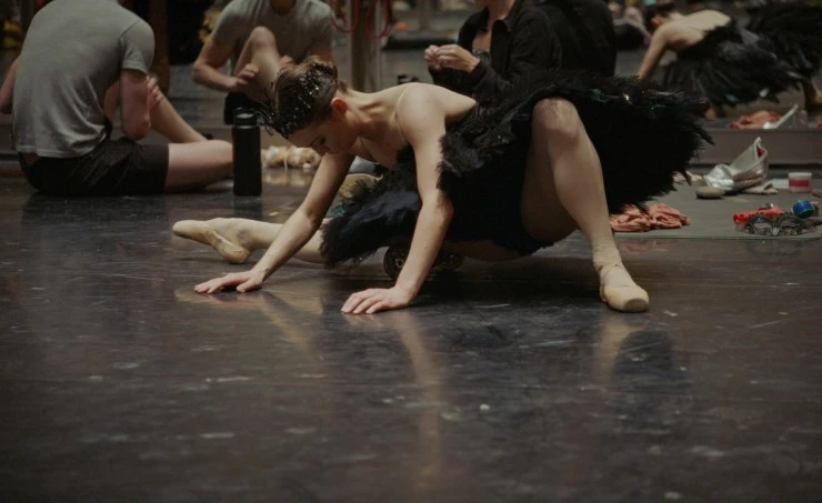 TheatreHD: Лебединая песня 2023 скачать через торрент бесплатно TheatreHD: Лебединая песня 2023 скачать через торрент бесплатно