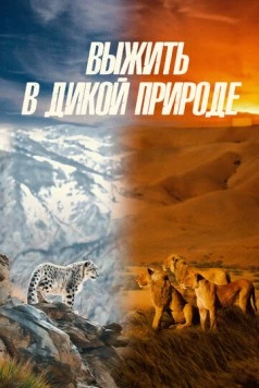 Выжить в дикой природе / Survive the Wild 2016 скачать через торрент в хорошем качестве