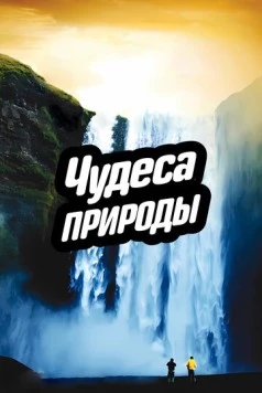 Чудеса природы / Miracles of Nature 2012 скачать через торрент в хорошем качестве
