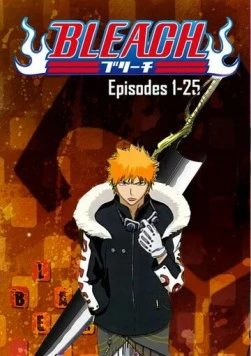 Блич / Bleach 2004 скачать через торрент в хорошем качестве