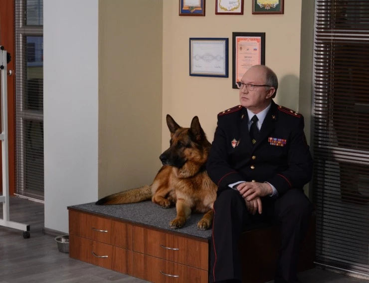 Мухтар. Новый след 2016 скачать с торрента Мухтар. Новый след 2016 скачать с торрента