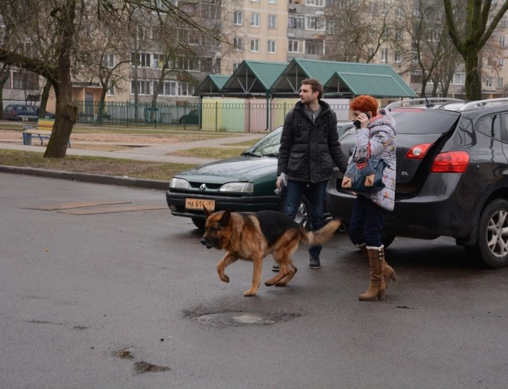 Мухтар. Новый след 2016 скачать торрентом Мухтар. Новый след 2016 скачать торрентом
