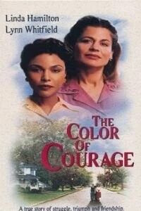 Цвет отваги / The Color of Courage 1998 скачать через торрент в хорошем качестве