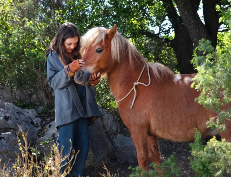 Поли 2020 скачать с торрента Поли 2020 скачать с торрента