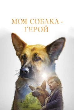 Моя собака - герой / Shepherd: The Story of a Jewish Dog 2018 скачать через торрент в хорошем качестве