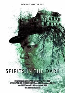 Духи во тьме / Spirits in the Dark 2020 скачать через торрент в хорошем качестве