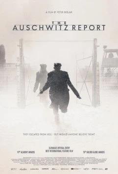 Протокол Освенцима / The Auschwitz Report 2020 скачать через торрент в хорошем качестве