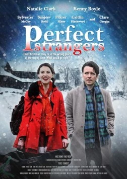 Идеальные незнакомцы / Perfect Strangers 2020 скачать через торрент в хорошем качестве