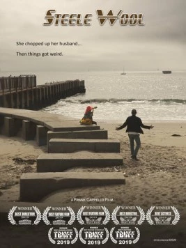 Стил и Вул / Steele Wool 2019 скачать через торрент в хорошем качестве