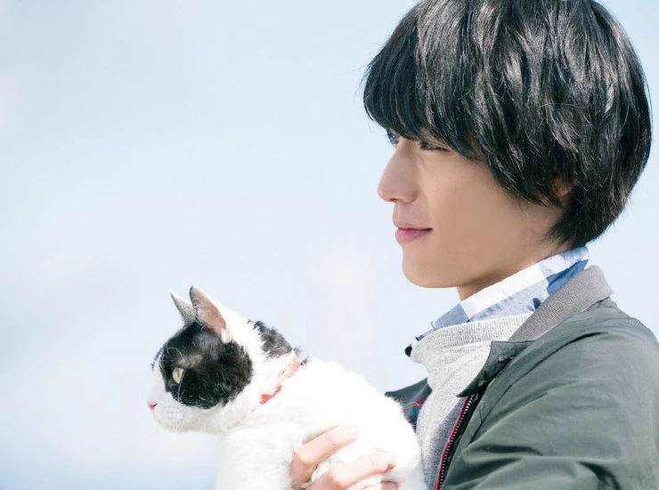 Хроники путешествующей кошки 2018 скачать с торрента Хроники путешествующей кошки 2018 скачать с торрента