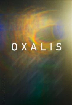 Связанные кровью / Oxalis 2018 скачать через торрент в хорошем качестве