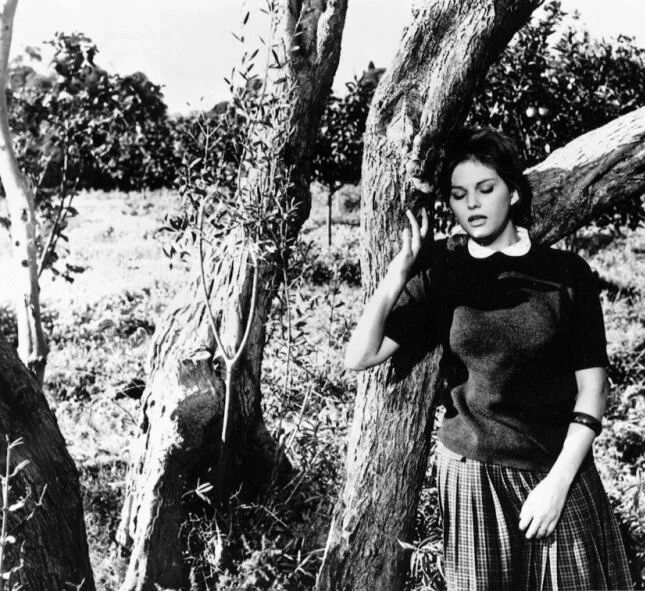 Красавчик Антонио 1960 скачать торрентом Красавчик Антонио 1960 скачать торрентом