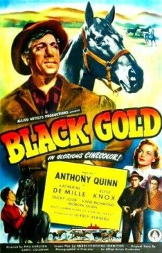 Черное золото / Black Gold 1947 скачать через торрент в хорошем качестве