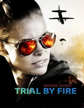 Испытание огнем / Trial by Fire 2008 скачать через торрент в хорошем качестве