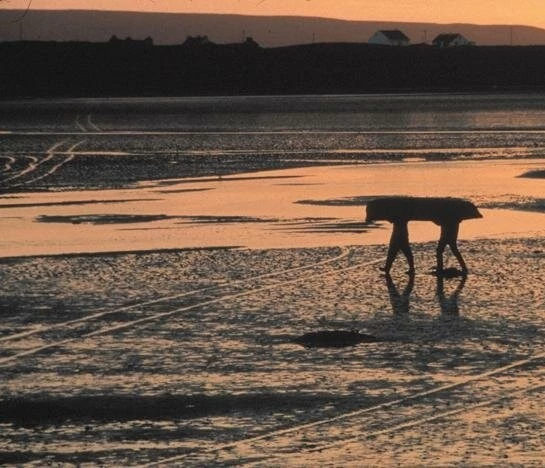 Сближение 2000 скачать через торрент бесплатно Сближение 2000 скачать через торрент бесплатно