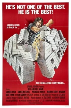 Убить дважды / Kill and Kill Again 1981 скачать через торрент в хорошем качестве