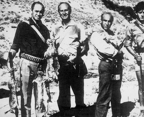 Охота 1966 скачать через торрент бесплатно Охота 1966 скачать через торрент бесплатно