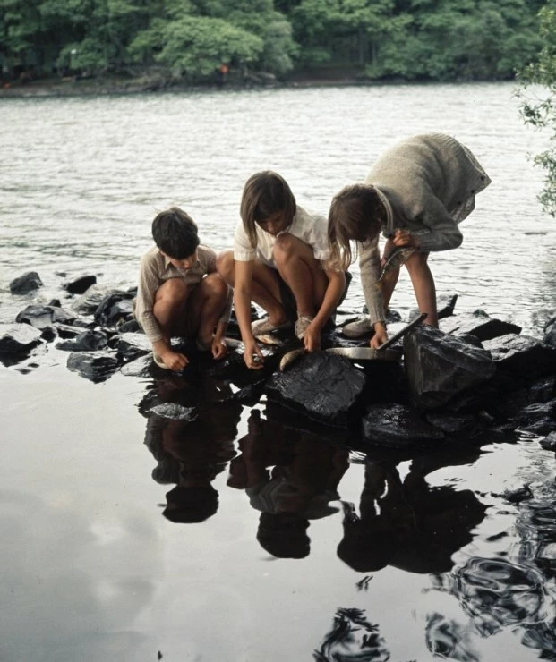 Ласточки и Амазонки 1974 скачать с торрента Ласточки и Амазонки 1974 скачать с торрента