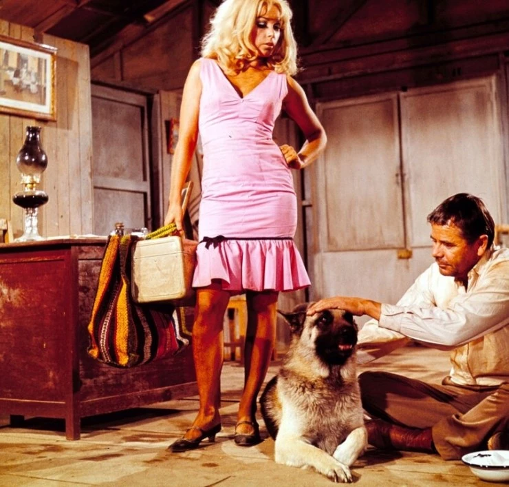 Ярость 1966 скачать через торрент бесплатно Ярость 1966 скачать через торрент бесплатно