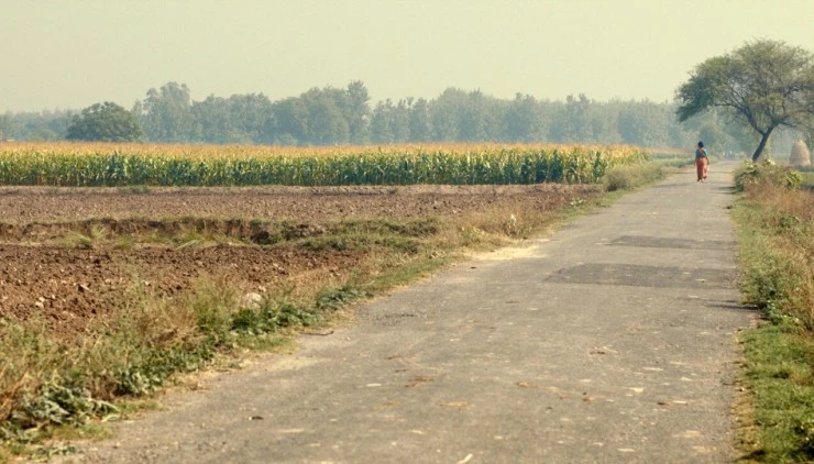 Поле 2018 скачать с торрента Поле 2018 скачать с торрента