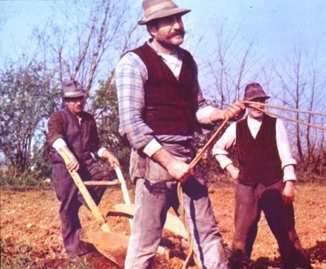 Дерево для башмаков 1978 скачать торрентом Дерево для башмаков 1978 скачать торрентом