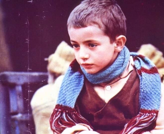 Дерево для башмаков 1978 скачать с торрента Дерево для башмаков 1978 скачать с торрента