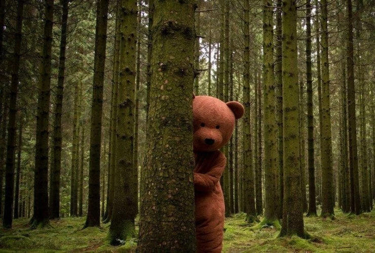 Чёрный медведь 2015 скачать торрентом Чёрный медведь 2015 скачать торрентом