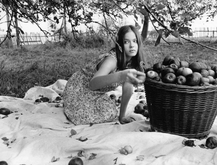 Сад 1995 скачать торрентом Сад 1995 скачать торрентом