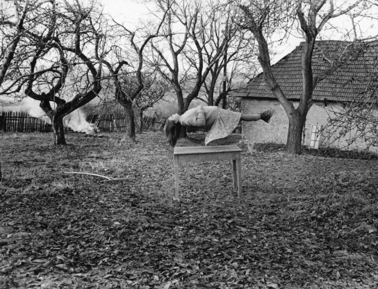 Сад 1995 скачать с торрента Сад 1995 скачать с торрента