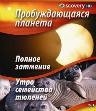 Пробуждающаяся планета / Sunrise Earth 2004 скачать через торрент в хорошем качестве