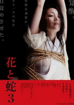 Цветок и змея 3 / Hana to hebi 3 2010 скачать через торрент в хорошем качестве