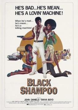 Чёрный шампунь / Black Shampoo 1976 скачать через торрент в хорошем качестве
