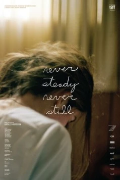 Жизнь в движении / Never Steady, Never Still (2017)